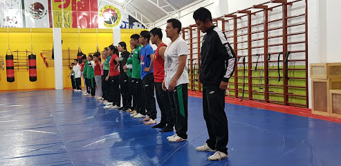 Escuela de Wushu Taiyon Oficial en San Cristóbal de las Casas