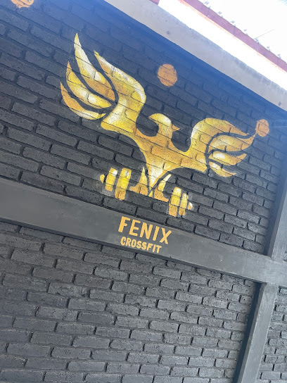 Fénix Crossfit en Salamanca