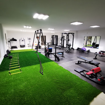 Gym Coach Augusto en Saltillo