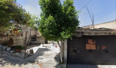 Gym Phoenix en López Mateos