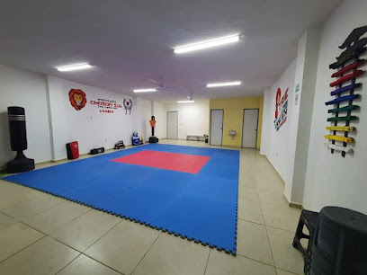 Instituto Choson Sul Leones de Manzanillo en Manzanillo