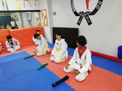 Instituto Mexicano de Taekwondo Colima en Colima