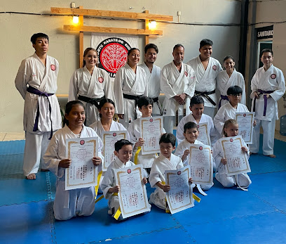 Karate Do Shinsei Juku Dojo en Tapachula