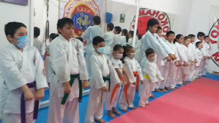 Karate Do Shotokan Yokohama - Kan en Ciudad del Carmen