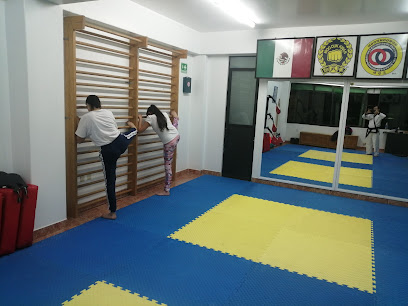 Mmw Moo Duk Kwan Leones de Fu en Tecámac