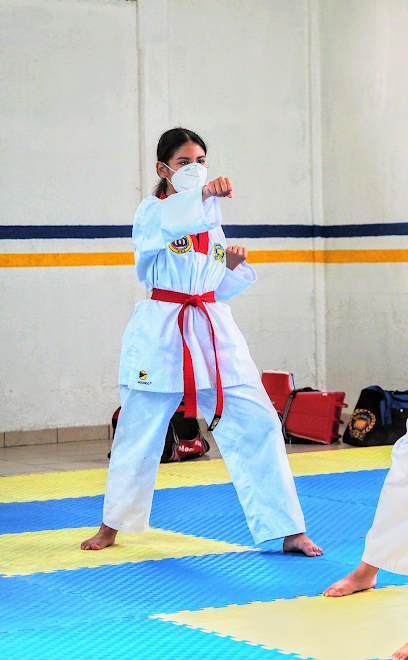 Moo Duk Kwan Chilpancingo en Chilpancingo