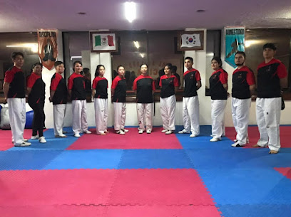 Peralta Taekwondo en Tulancingo