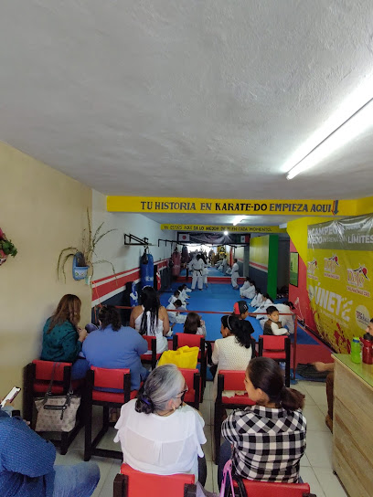 Pumas Dojo Chilpancingo en Chilpancingo
