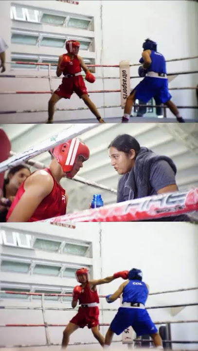 Serrano Boxing en Villa de Álvarez