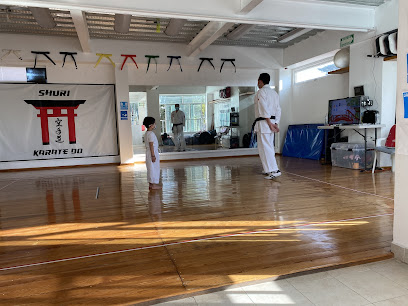 Shuri Karate Do en Cuajimalpa de Morelos