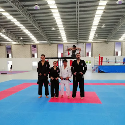 Sugi Hapkido México en Ciudad del Carmen