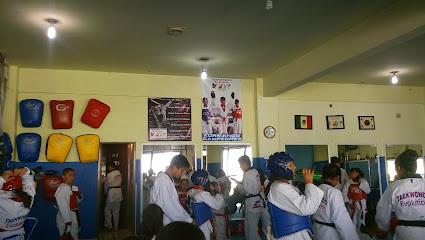 Taekwondo Evolution en Tecámac
