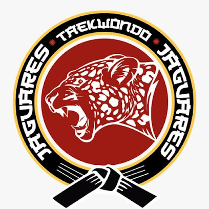 Taekwondo Jaguares en Salamanca