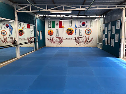 Taekwondo y Hapkido Guerreros del Sol en Milpa Alta