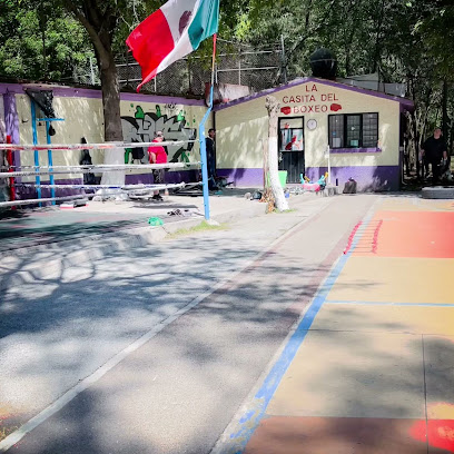 Team Coreanito Mateos en Coyoacán