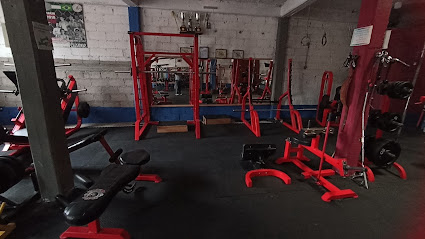 The Lions Mma Fighter's Gym en Chalco