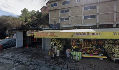 The Palace Boxing Mexico en López Mateos