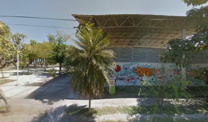 Under Boxing en Colima