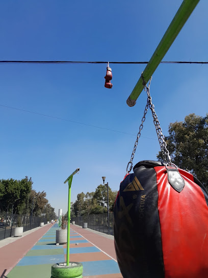 Warriors Boxeo Iztacalco en Iztacalco