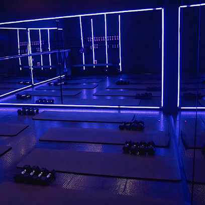 91 Ride And Punch en Guasave