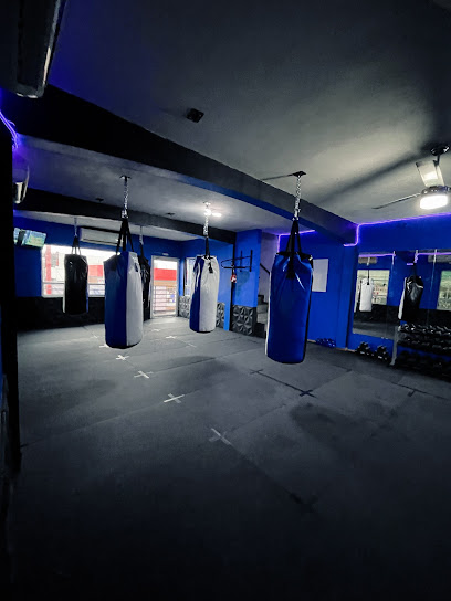 Blue Boxing en General Escobedo