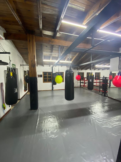 Box Arena Corregidora en Corregidora