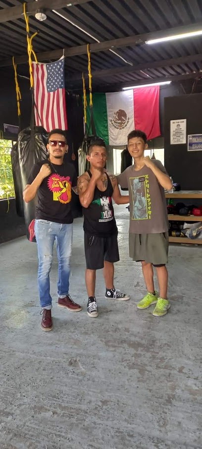 Box Team Jasso Btj en Juárez