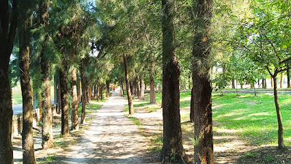 Deportivo Indeco en Morelia