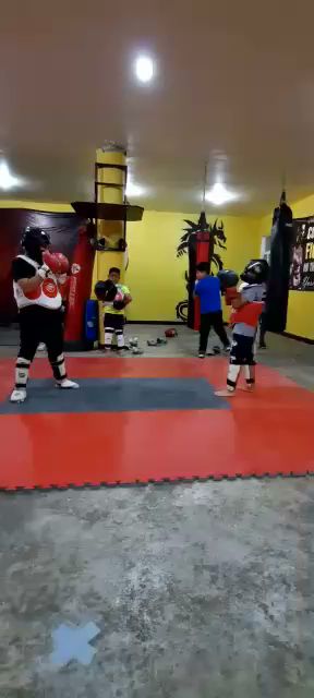 Dragón Negro Mma en Fresnillo