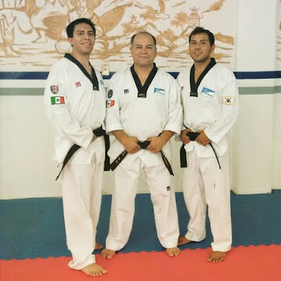 En For Ma Taekwondo en San Martín Texmelucan