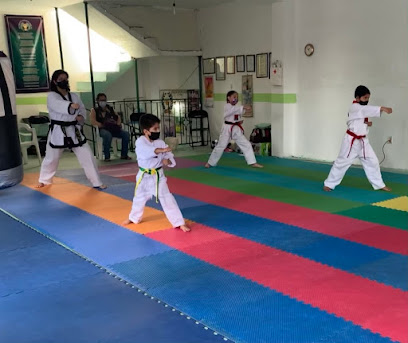 Escuela Taekwondo Zacatecas Ammdk en Guadalupe
