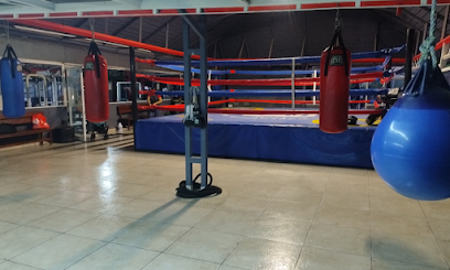 Escuela de Boxeo Bicman en Jiutepec