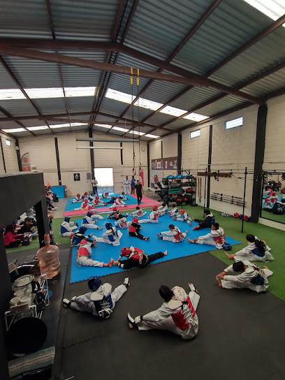 Evolution Taekwondo en San Martín Texmelucan