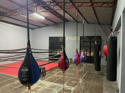 Ex Estilo César Sucursal Tula (Box) en Tehuacán