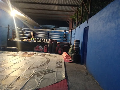 Fénix Artes Marciales en Nuevo Laredo