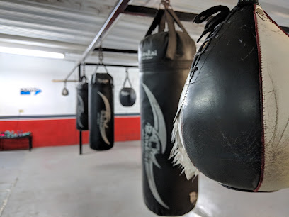 Fit Boxing Merino en Hermosillo