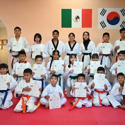 Guerrero's Evolution Taekwondo en Apizaco