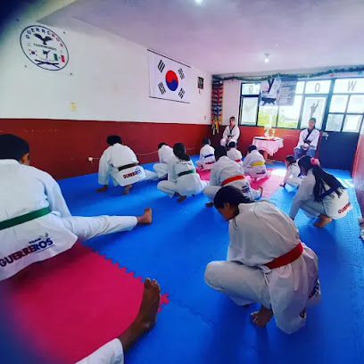 Guerreros Taekwondo Apizaco en Apizaco