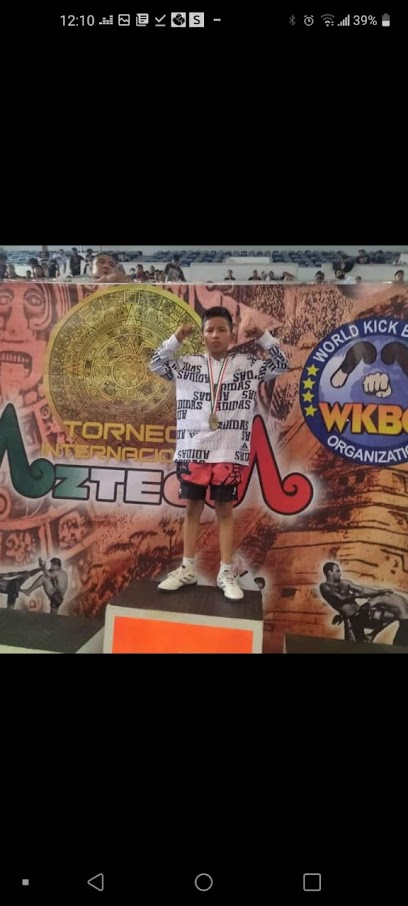 Gym y Academia de Jiu-Jitsu Temalacatl y Mma en Apizaco