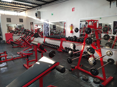 Hunter Gym en Uruapan