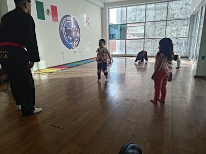 Instituto Hana Tae Kwon Do en Apizaco