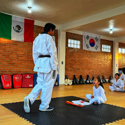 Instituto Jujak Taekwondo en Apizaco