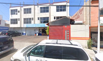 Instituto Tkd. Hana Atempan. en Tlaxcala
