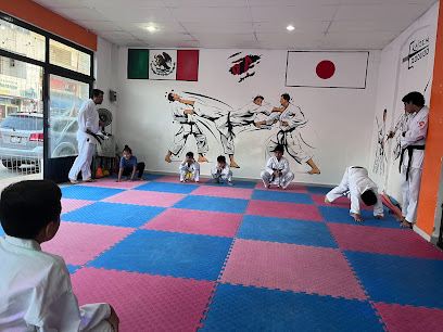 Kaizen Dojo en Cárdenas