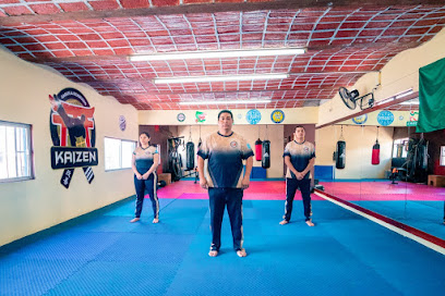Kaizen Estudios en Tepic