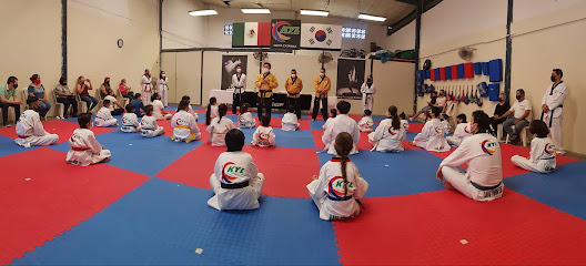 Kang Young Lee Academy Santa Catarina en Santa Catarina