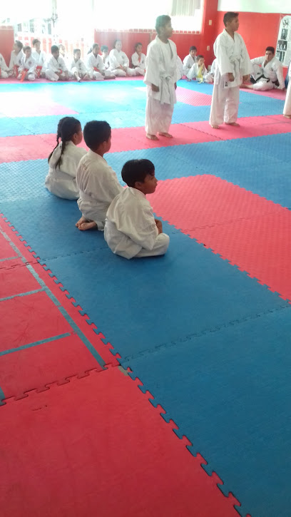 Karate Samurai Club en Poza Rica