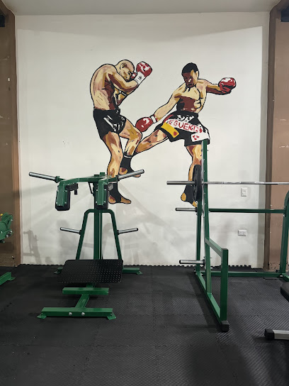 Kick Boxing y Boxeo Víctor Chávez. en San Pablo del Monte