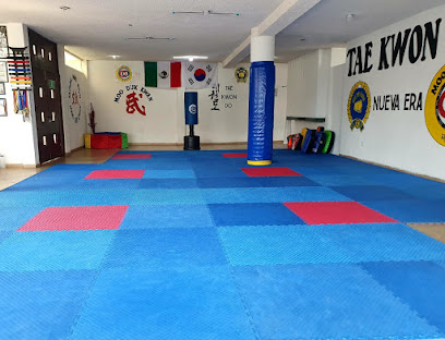 Mmw - Mdk - Nueva Era Taekwondo en Apizaco