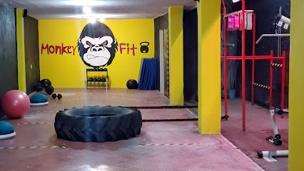 Monkeyfit en Tepic